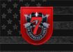Picture of 7th Special Forces