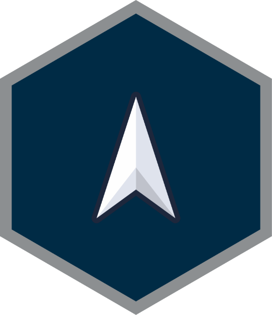 Picture of Mylar Decal - Space Force E-1 Specialist