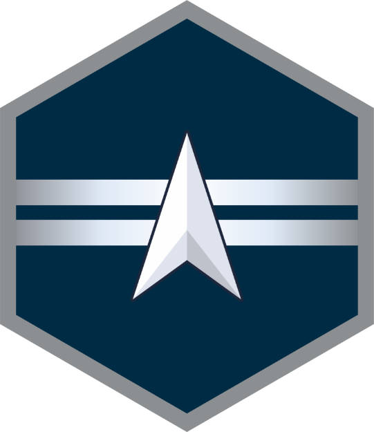 Picture of Mylar Decal - Space Force E-3 Specialist