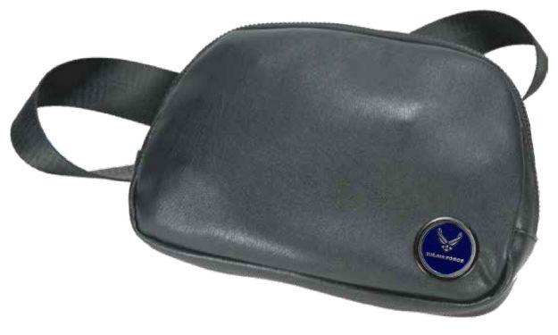 Picture of U.S. Air Force