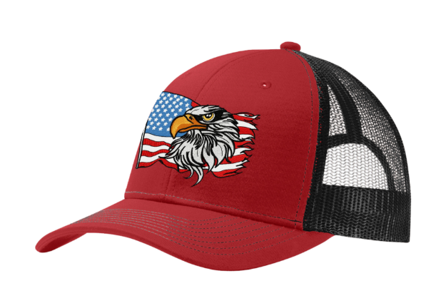 Picture of AMERICAN FLAG EAGLE
