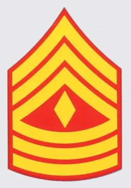 DE8-M.jpg